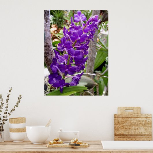 Vanda Orchids Poster (Küche)