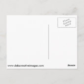 Vanderbuild Mansion Postkarte (Rückseite)