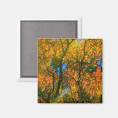 VanDusen Botanical Garden Vancouver, Kanada Magnet (Vorderseite/Rückseite)