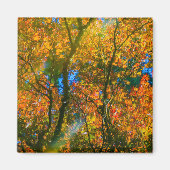 VanDusen Botanical Garden Vancouver, Kanada Magnet (Vorne)