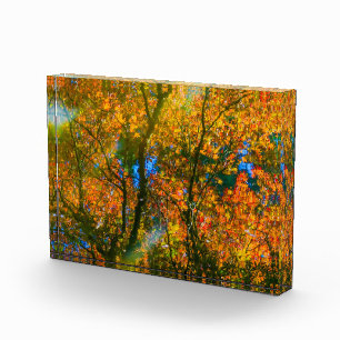 VanDusen Botanischer Garten Vancouver, Kanada Fotoblock