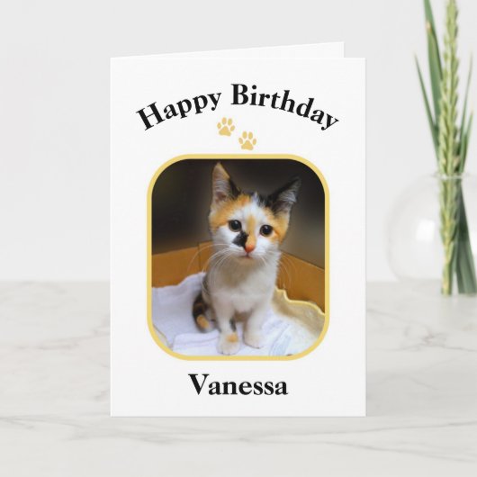 Vanessa Calico Kitten Happy Birthday Karte (Vorderseite)