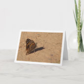 Vanessa cardui - Gemälde Lady Butterfly Karte (Vorderseite)