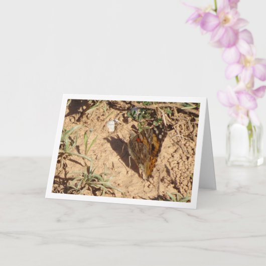 Vanessa cardui - Schmetterlingskarte für gemalte L Karte (Orchidee)