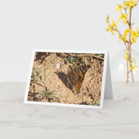 Vanessa cardui - Schmetterlingskarte für gemalte L Karte (Gelbe Blume)