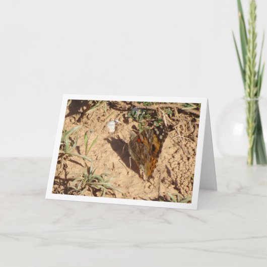 Vanessa cardui - Schmetterlingskarte für gemalte L Karte (Vorderseite)