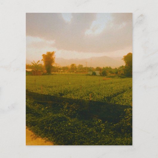 Vang Vieng - Laos Flyer (Hinten)