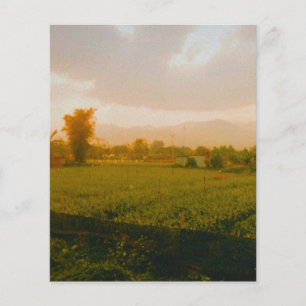 Vang Vieng - Laos Flyer