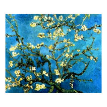 VanGogh Almond Tree Blossoms Poster
