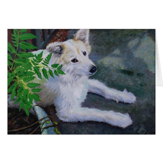 Vanilla Bean (Vorderseite (Horizontal))