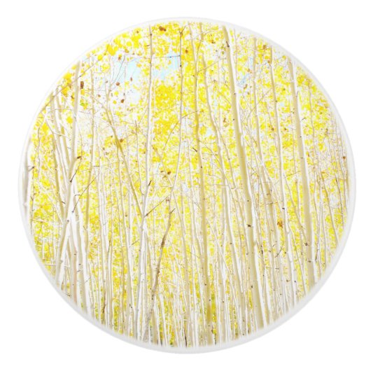 Vanilla Cake Aspen Keramikknauf (Vorderseite)