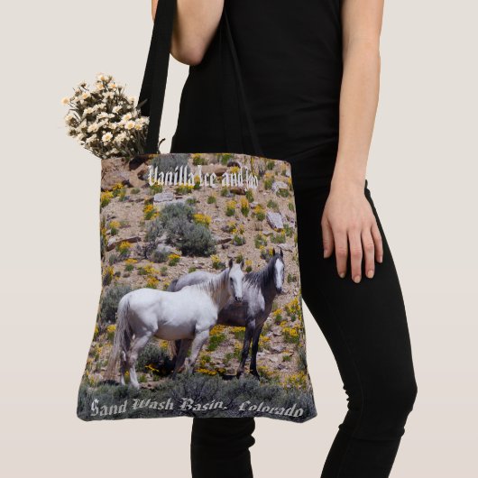 Vanilla Ice und Jaco Tasche (Von Nahem)