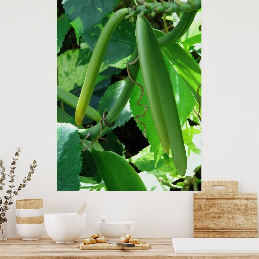 Vanilla Orchid Beans Poster (Küche)