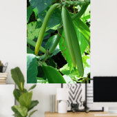 Vanilla Orchid Beans Poster (Heimbüro)