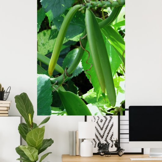 Vanilla Orchid Beans Poster (Heimbüro)