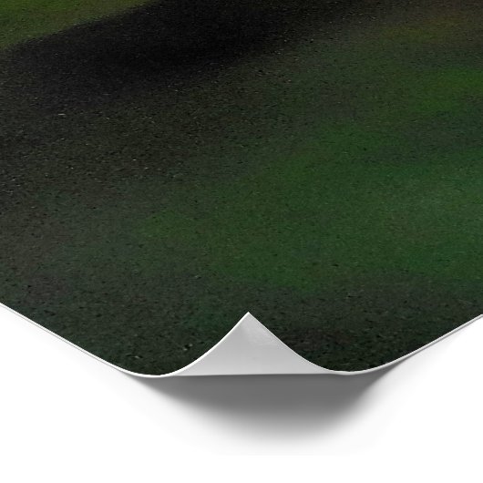 Vanilla Orchid Poster (Ecke)