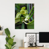 Vanilla Orchid Poster (Heimbüro)
