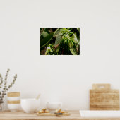 Vanilla Pflanze Poster (Küche)