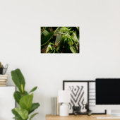 Vanilla Pflanze Poster (Heimbüro)