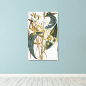 Vanilla Pods, Platte 65, aus "Collection Precieuse Leinwanddruck (Insitu (Holzboden))