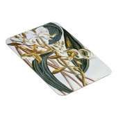 Vanilla Pods, Platte 65, aus "Collection Precieuse Magnet (Rechte Seite)