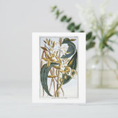 Vanilla Pods, Platte 65, aus "Collection Precieuse Postkarte (Stehend Vorderseite)