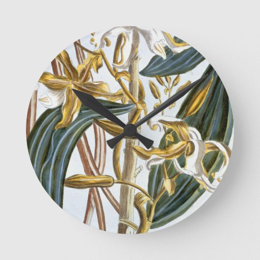 Vanilla Pods, Platte 65, aus "Collection Precieuse Runde Wanduhr (Vorderseite)