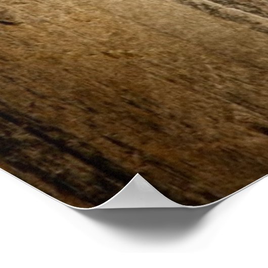 Vanilla Pods und Blume über Holzgelände Poster (Ecke)