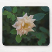 Vanilla-Rose Mousepad (Vorne)