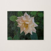 Vanilla-Rose Puzzle (Horizontal)