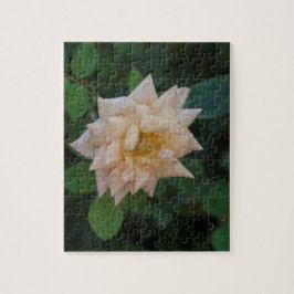 Vanilla-Rose Puzzle