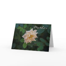 Vanille-Rose der Mutter