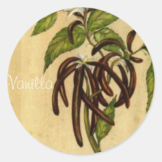 Vanille Runder Aufkleber (Vorderseite)