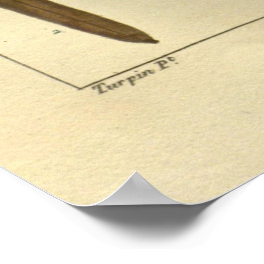 VANILLE, Vanilla Pflanze drucken Poster (Ecke)