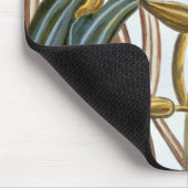 Vanillehülsen, Platte 65, 'von der Sammlung Mousepad (Ecke)