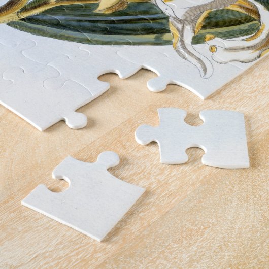 Vanillehülsen, Platte 65, 'von der Sammlung Puzzle (Seite)