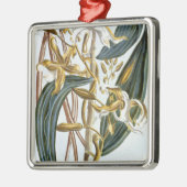 Vanillehülsen, Platte 65, 'von der Sammlung Silbernes Ornament (Links)