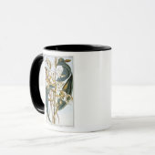 Vanillehülsen, Platte 65, 'von der Sammlung Tasse (Vorderseite Links)