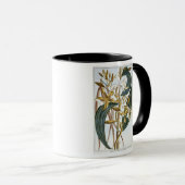 Vanillehülsen, Platte 65, 'von der Sammlung Tasse (VorderseiteRechts)