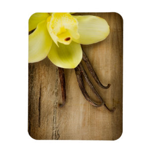 Vanilleschoten und Blüte auf Holzhintergrund Magnet