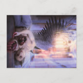 Vanishing Postkarte (Vorderseite)