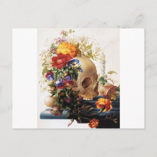 Vanitas - Der Schädel Postkarte (Vorderseite)