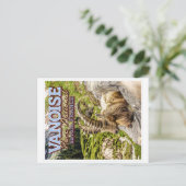 VANOISE NATIONAL PARK - SAVOIE FRANCE - IBEX POSTKARTE (Stehend Vorderseite)