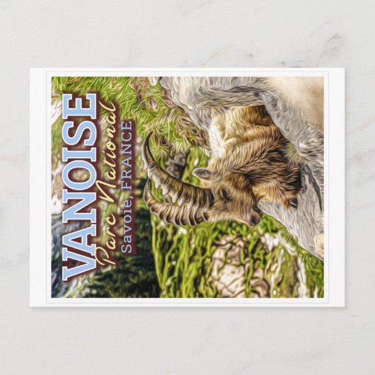VANOISE NATIONAL PARK - SAVOIE FRANCE - IBEX POSTKARTE (Vorderseite)