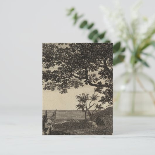 Vanuatu 3 postkarte (Stehend Vorderseite)