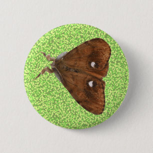 Vapourer Moth Button