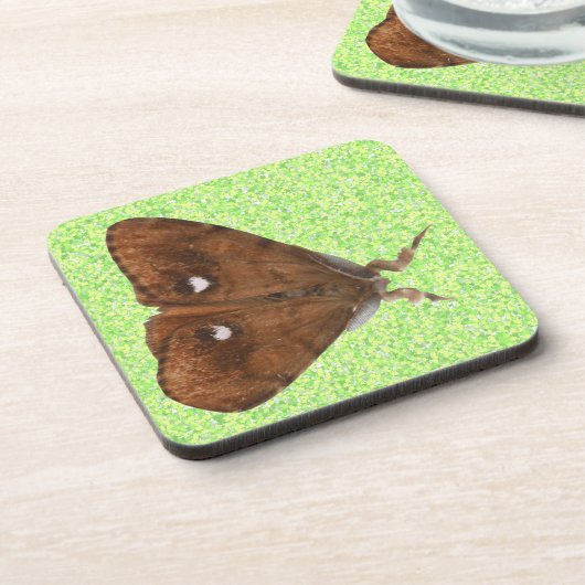 Vapourer Moth Cork Untersetzer (Linke Seite)