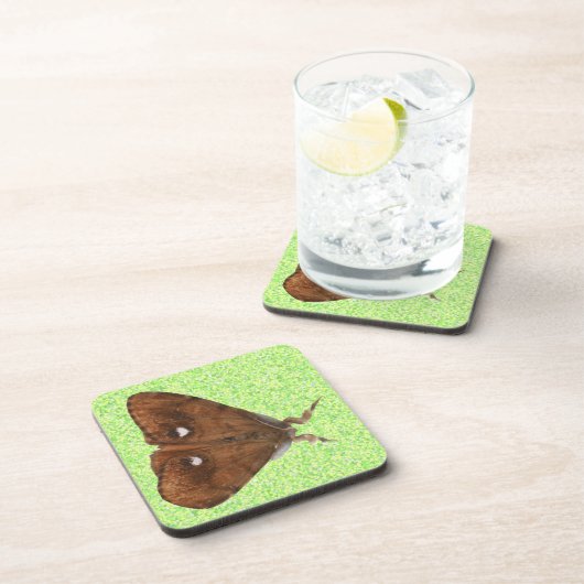 Vapourer Moth Cork Untersetzer (Rechte Seite)