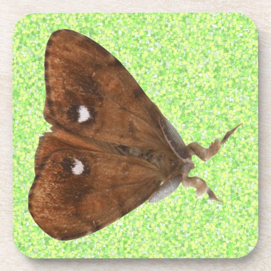 Vapourer Moth Cork Untersetzer (Vorderseite)