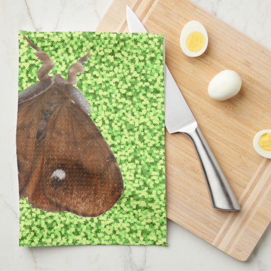 Vapourer Moth Kitchtuch Handtuch (Viertel Falte)